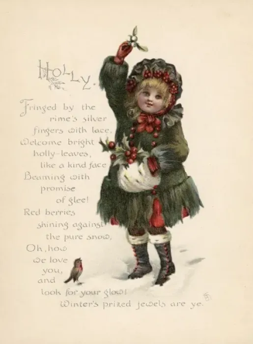 Framed Print : Holly / Language of Flowers Framed Print : Holly / Language of Flowers