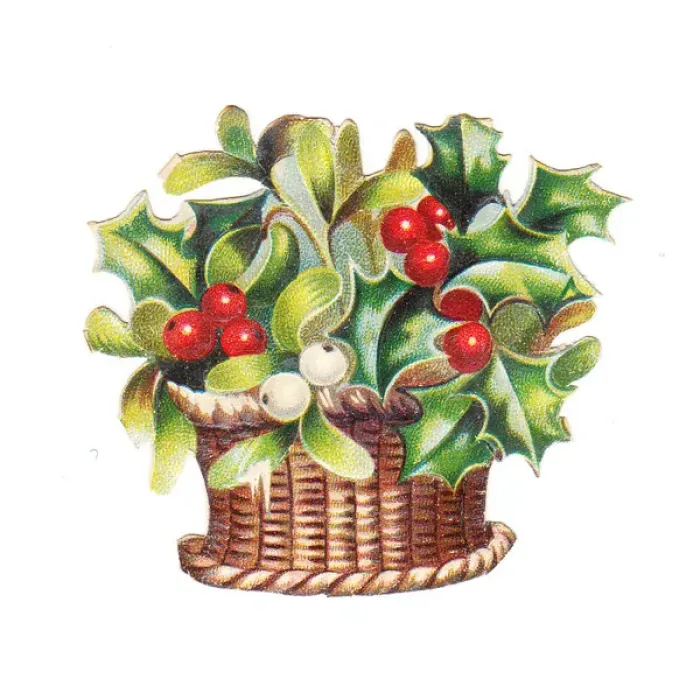 Framed Print : Holly and mistletoe in a basket on a Christmas card Framed Print : Holly and mistletoe in a basket on a Christmas card
