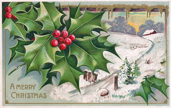 Holly with snow scene on a Christmas postcard