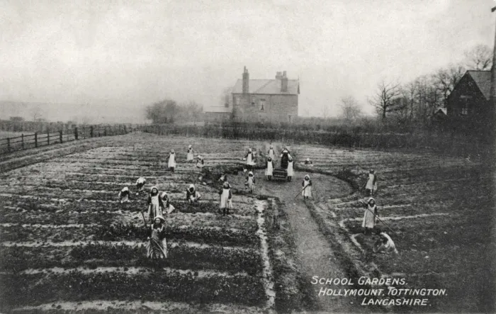 Framed Print : Hollymount School, Tottington - School Gardens Framed Print : Hollymount School, Tottington - School Gardens