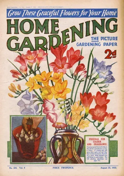 Framed Print : Home Gardening magazine, August 1932 Framed Print : Home Gardening magazine, August 1932