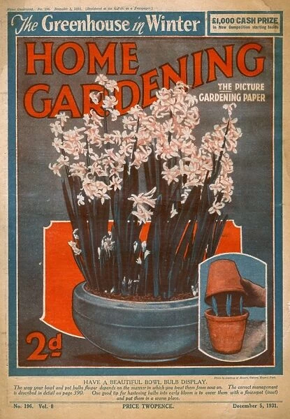 Home Gardening magazine, December 1931