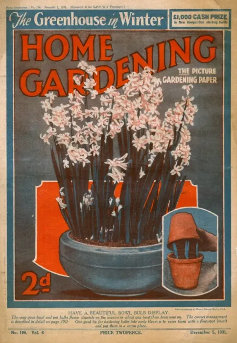 Framed Print : Home Gardening magazine, December 1931 Framed Print : Home Gardening magazine, December 1931
