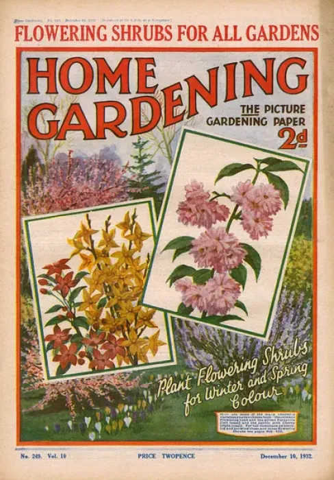 Framed Print : Home Gardening magazine, December 1932 Framed Print : Home Gardening magazine, December 1932