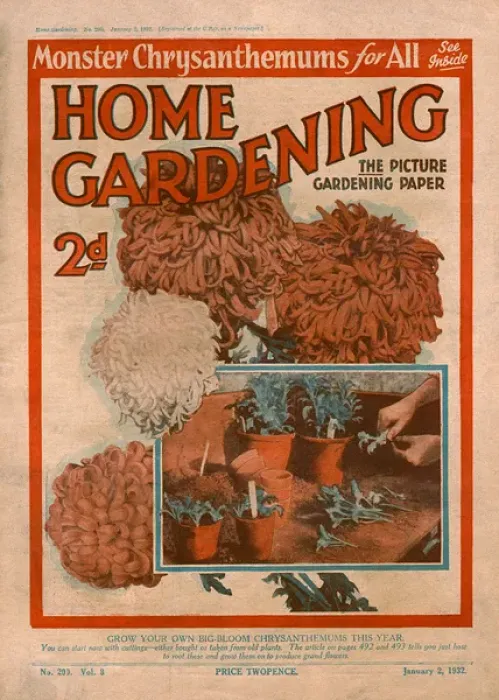 Framed Print : Home Gardening magazine, January 1932 Framed Print : Home Gardening magazine, January 1932