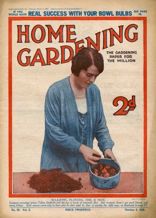 Framed Print : Home Gardening magazine, October 1928 Framed Print : Home Gardening magazine, October 1928