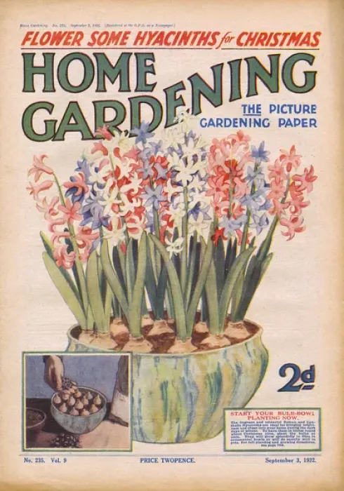 Framed Print : Home Gardening magazine, September 1932 Framed Print : Home Gardening magazine, September 1932