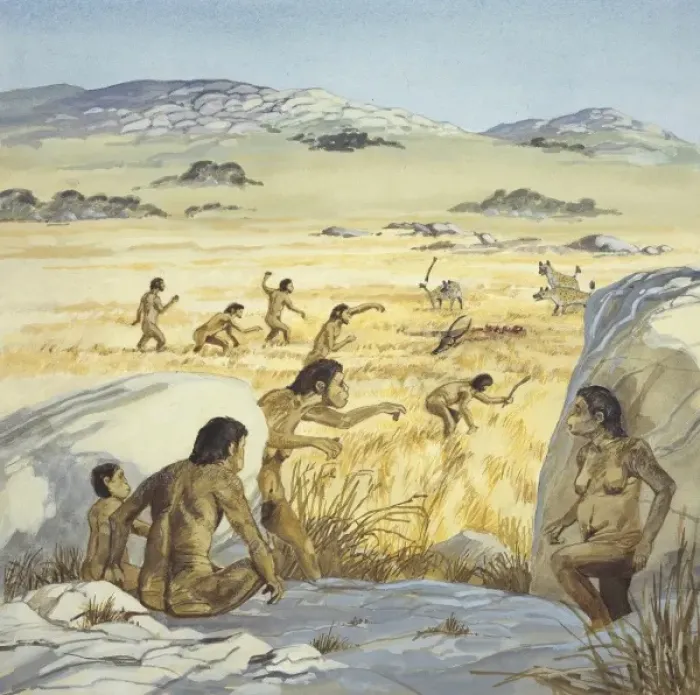 Framed Print : Homo habilis in action Framed Print : Homo habilis in action