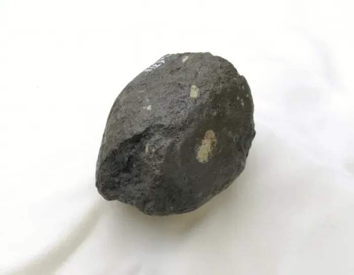 Framed Print : A Homo habilis hammerstone Framed Print : A Homo habilis hammerstone