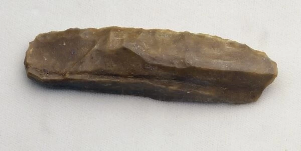 Homo neanderthalensis, Neanderthal mans flake tool