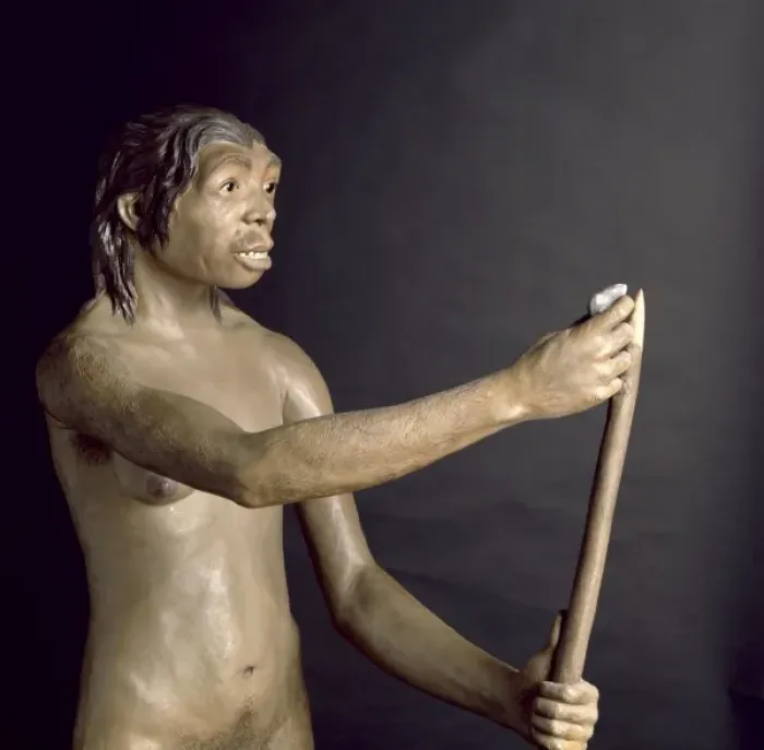 Framed Print : Homo neanderthalensis, Neanderthal Woman (Tabun C1) Framed Print : Homo neanderthalensis, Neanderthal Woman (Tabun C1)
