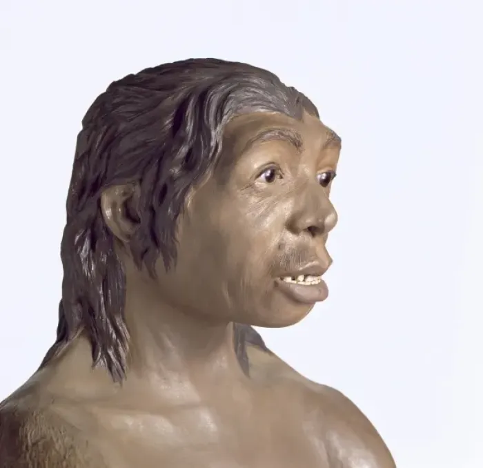 Framed Print : Homo neanderthalensis, Neanderthal Woman (Tabun C1) Framed Print : Homo neanderthalensis, Neanderthal Woman (Tabun C1)