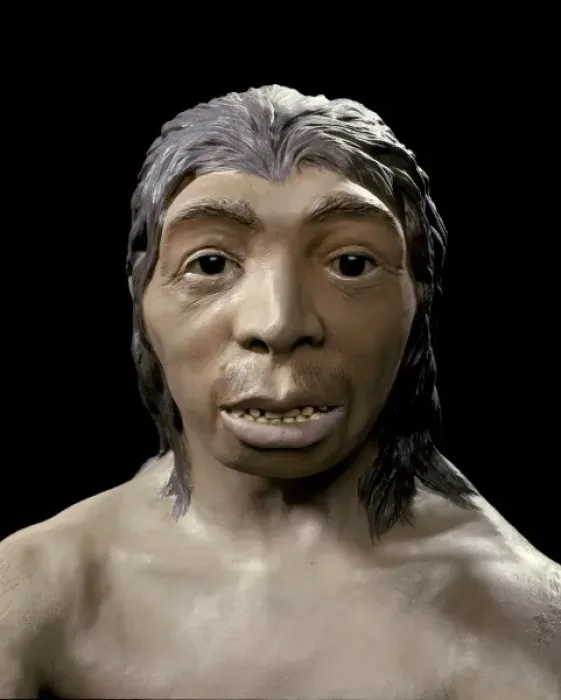 Framed Print : Homo neanderthalensis, Neanderthal Woman (Tabun C1) Framed Print : Homo neanderthalensis, Neanderthal Woman (Tabun C1)