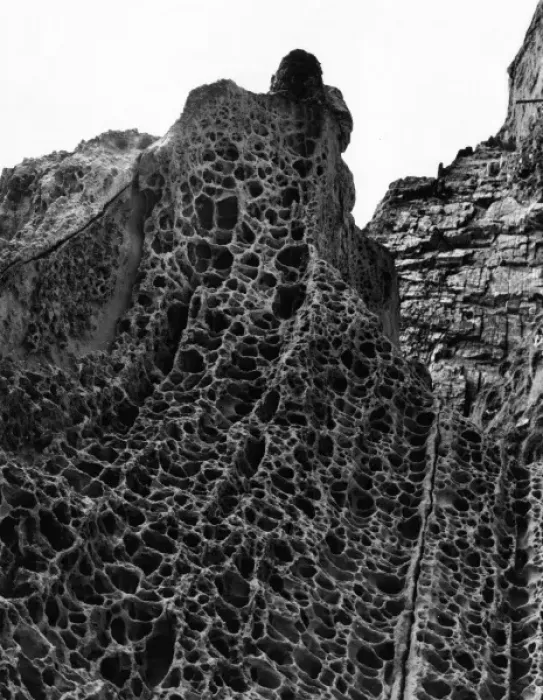 Framed Print : Honeycombed Rocks Framed Print : Honeycombed Rocks