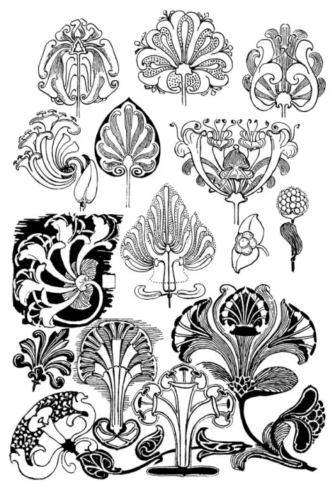 Framed Print : Honeysuckle Framed Print : Honeysuckle