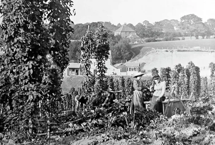 Framed Print : The Hop Garden, Goudhurst, Kent, Victorian period Framed Print : The Hop Garden, Goudhurst, Kent, Victorian period