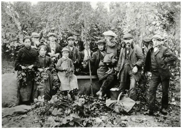 Framed Print : Hop pickers in Kent 1911 Framed Print : Hop pickers in Kent 1911