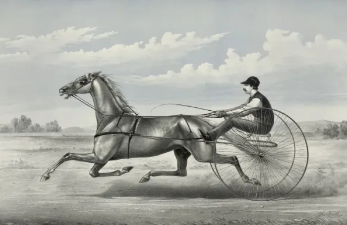 Framed Print : Hopeful: grey gelding by Godfreys Patchen, dam unknown Framed Print : Hopeful: grey gelding by Godfreys Patchen, dam unknown