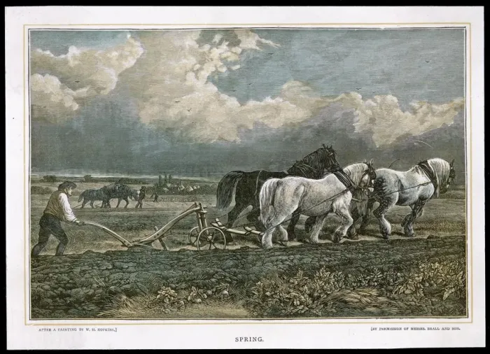 Framed Print : HOPKINS  /  SEASONS  /  SPRING