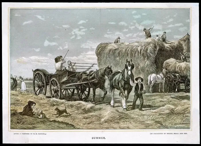 Framed Print : Hopkins / Seasons / Summer Framed Print : Hopkins / Seasons / Summer