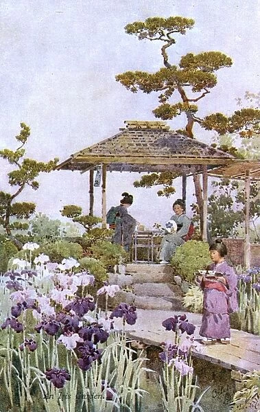Horikiri Iris Garden, Katsuhika ward, Tokyo