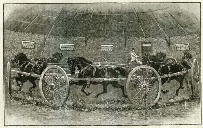 Framed Print : Horse Breaking at St. Albans - The Leisure Hour 1895 Framed Print : Horse Breaking at St. Albans - The Leisure Hour 1895