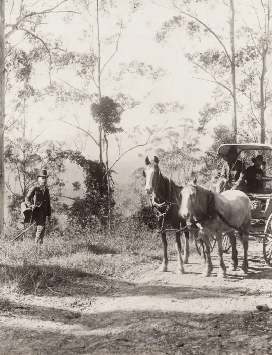 Framed Print : Horse and carriage, country road, Queensland, Australia Framed Print : Horse and carriage, country road, Queensland, Australia