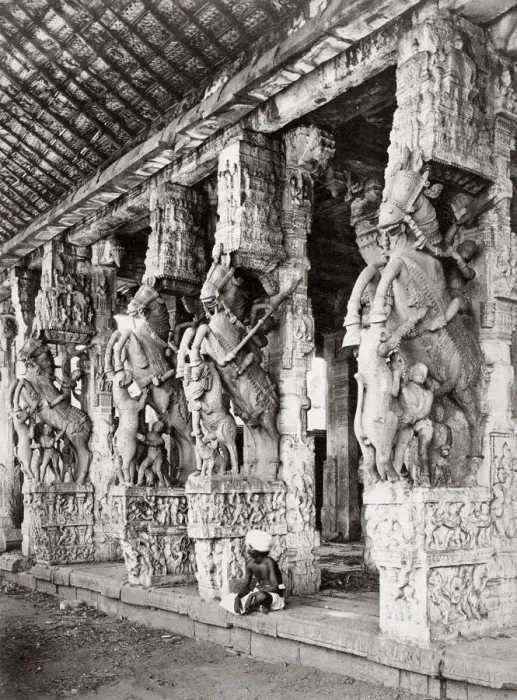 Framed Print : Horse carvings, Hindu Temple, India, c. 1880 s Framed Print : Horse carvings, Hindu Temple, India, c. 1880 s