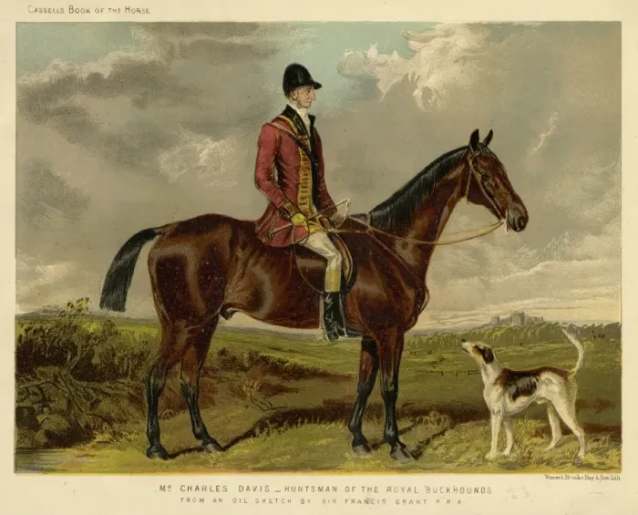 Framed Print : Horse / Charles Davis Framed Print : Horse / Charles Davis