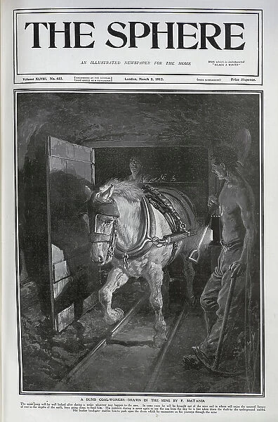 Horse in coalmine
