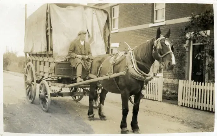 Framed Print : Horse & Delivery Cart Framed Print : Horse & Delivery Cart