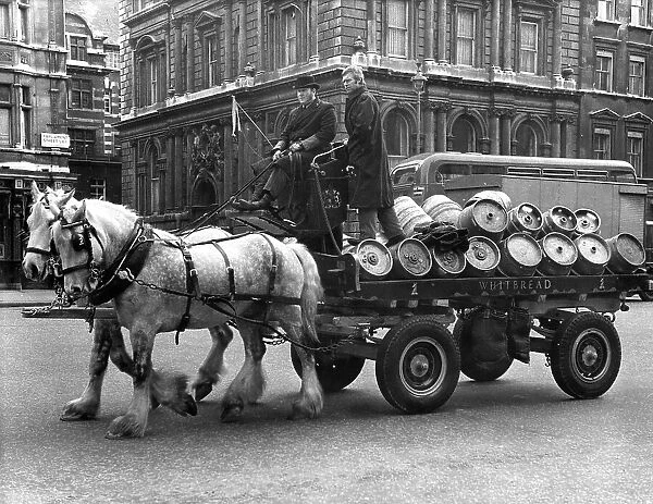 Horse-drawn brewer's dray, Whitehall, London