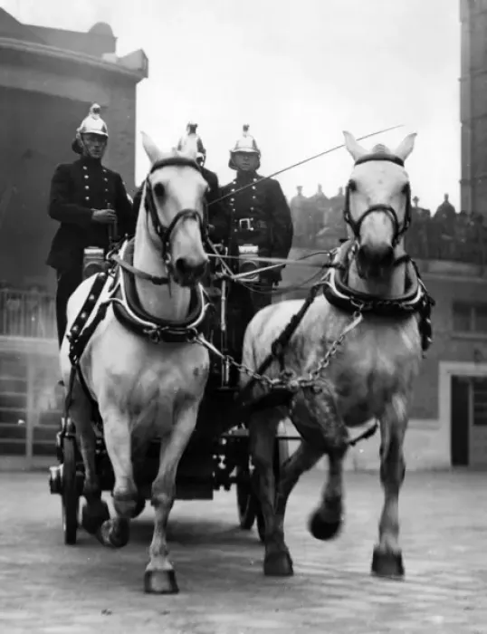 Framed Print : Horse-drawn fire vehicle and crew in display Framed Print : Horse-drawn fire vehicle and crew in display