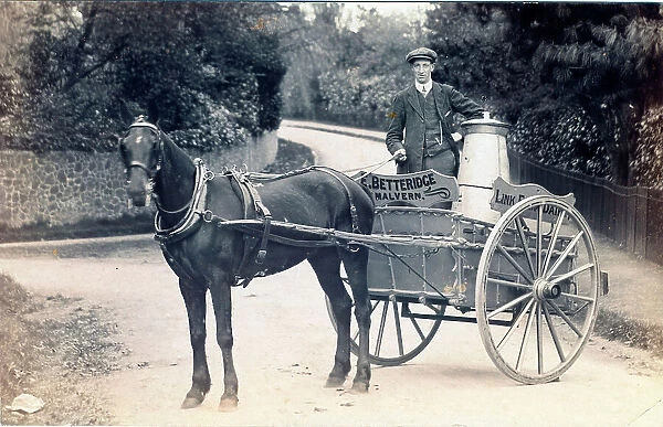 Horse-drawn milk cart with driver. Churn on the cart