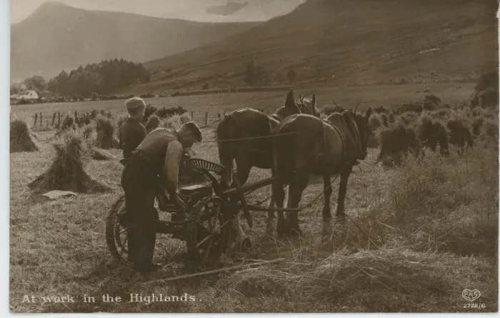 Framed Print : Horse Drawn Plough Framed Print : Horse Drawn Plough