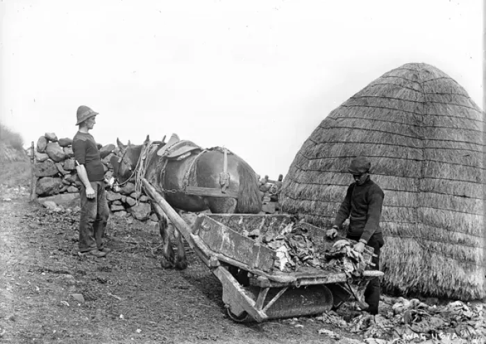 Framed Print : Horse drawn roller wheel cart being unloaded Framed Print : Horse drawn roller wheel cart being unloaded