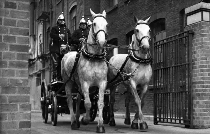 Framed Print : Horse-drawn steamer taking part in display Framed Print : Horse-drawn steamer taking part in display