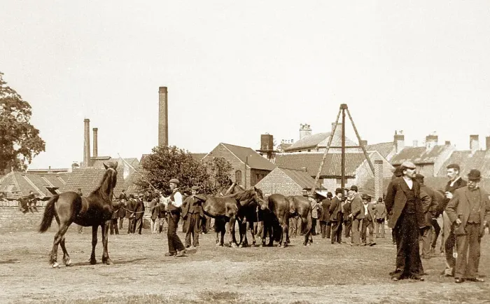 Framed Print : Horse Fair, Mansfield early 1900's Framed Print : Horse Fair, Mansfield early 1900's