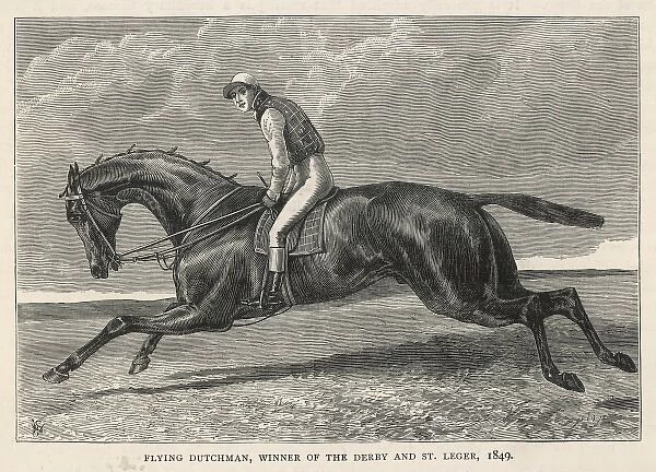 HORSE FLYING DUTCHMAN