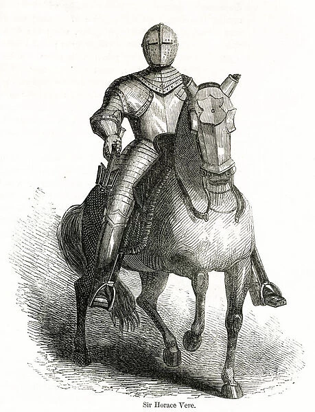 Horse and knight in amour