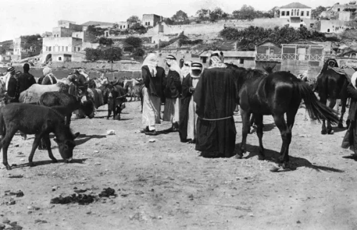 Framed Print : Horse market at Nazareth, Northern Israel Framed Print : Horse market at Nazareth, Northern Israel