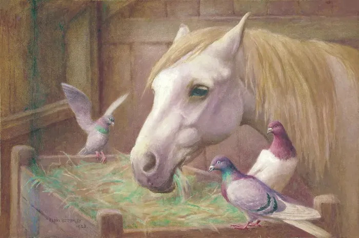 Framed Print : Horse and pigeons Framed Print : Horse and pigeons