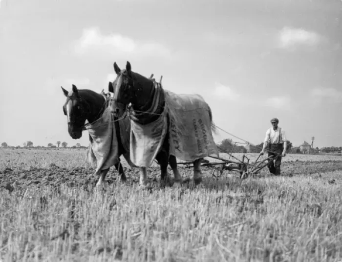 Framed Print : Horse Plough Framed Print : Horse Plough