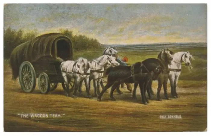 Framed Print : Six Horse Power Team Framed Print : Six Horse Power Team