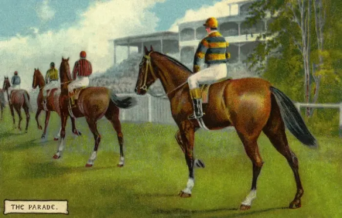 Framed Print : Horse racing Framed Print : Horse racing
