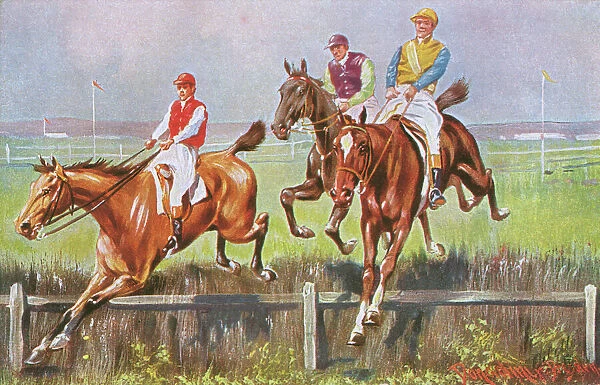 Horse Racing - The Last Hedge