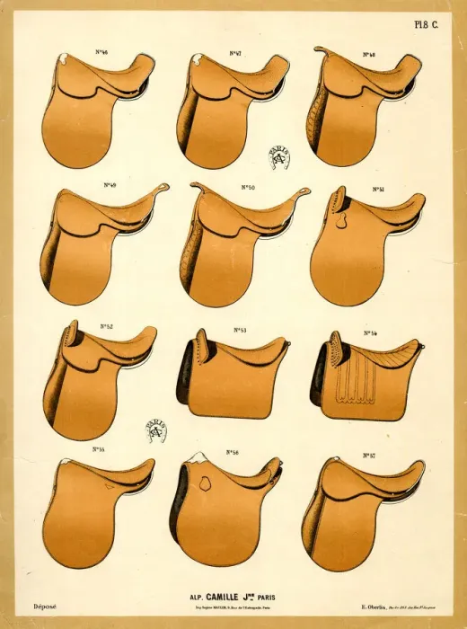 Framed Print : Horse saddles, Camille, Paris Framed Print : Horse saddles, Camille, Paris