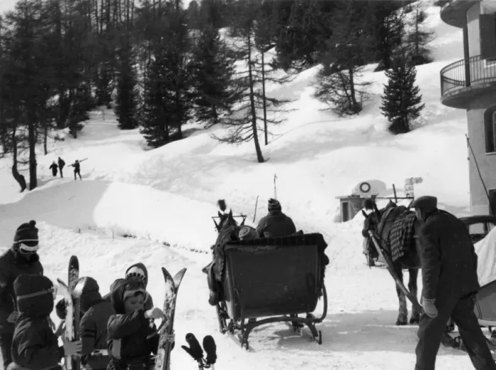 Framed Print : Horse & Sleigh Framed Print : Horse & Sleigh