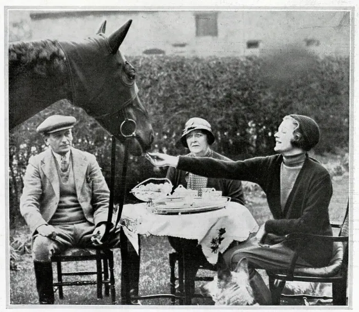 Framed Print : Horse at a Tea Party Framed Print : Horse at a Tea Party