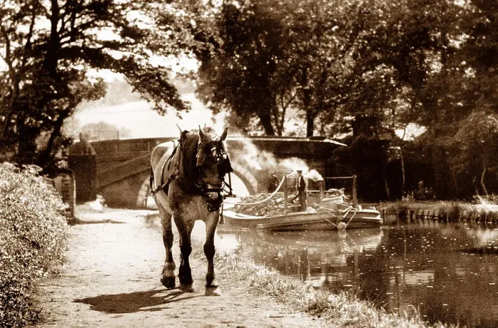 Framed Print : Horse towing barge on the Leeds and Liverpool Canal Framed Print : Horse towing barge on the Leeds and Liverpool Canal
